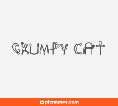 Grumpy Cat
